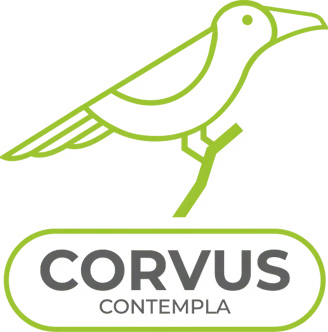 CORVUS-CONTEMPLA